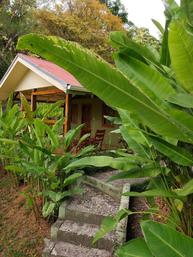 Cabina Rancho La Merced Uvita Extérieur photo